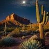 arizonaresell
